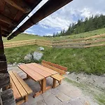 Sennerin By Interhome Διαμέρισμα Forstau (Salzburg)