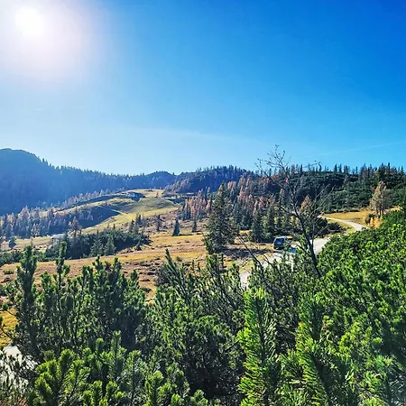 Sennerin By Interhome Forstau (Salzburg)