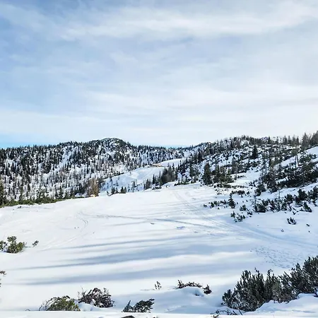 Appartement Sennerin By Interhome