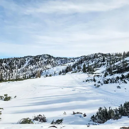 Sennerin By Interhome Appartement